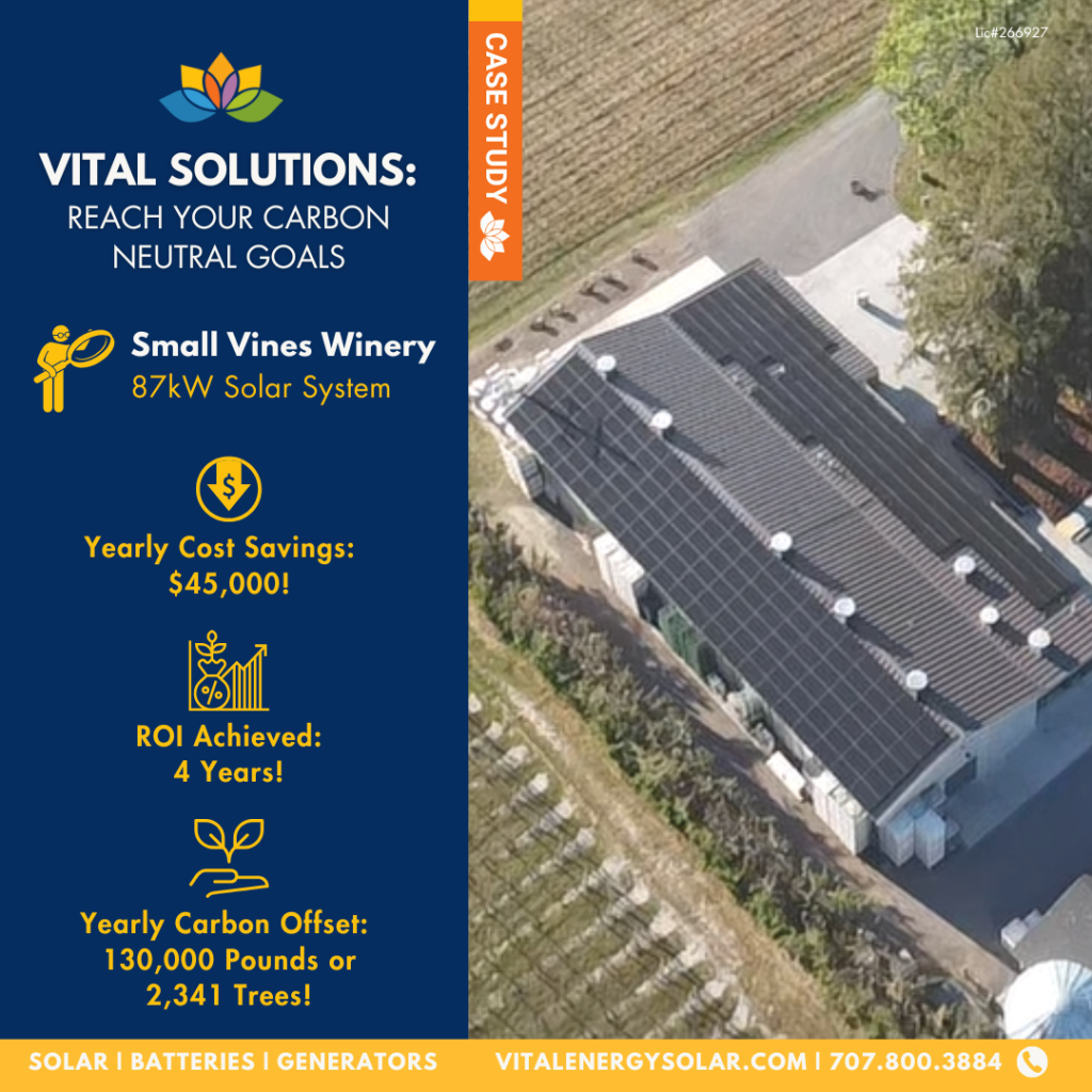 Small Vine Small Vine